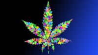 Weed Wallpaper 9