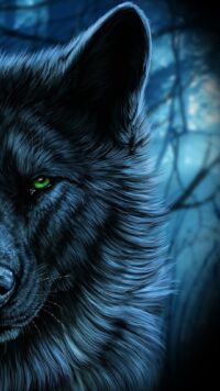 Wolf Wallpaper 6