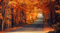 Autumn Wallpapers 9