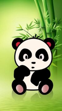 Panda Wallpaper 8