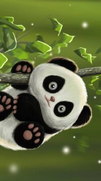 Panda Wallpaper 3