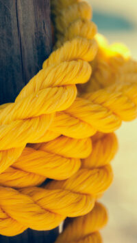 The Yellow Wallpaper 10