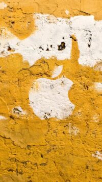 The Yellow Wallpaper 1