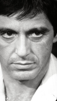 Scarface Wallpaper 8