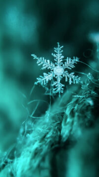 Snowflake Wallpaper 8