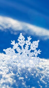 Snowflake Wallpaper 7