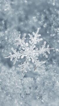Snowflake Wallpaper 6