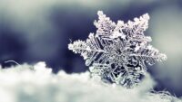 Snowflake Wallpaper 3