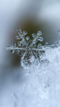 Snowflake Wallpaper 1