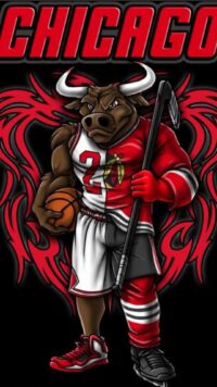 Chicago Bulls Wallpaper 5