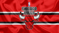 Chicago Bulls Wallpaper 4
