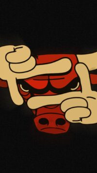 Chicago Bulls Wallpaper 2