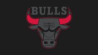 Chicago Bulls Wallpaper 1