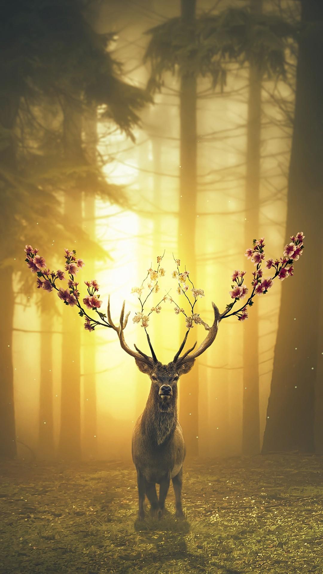 Deer Wallpaper - KoLPaPer - Awesome Free HD Wallpapers