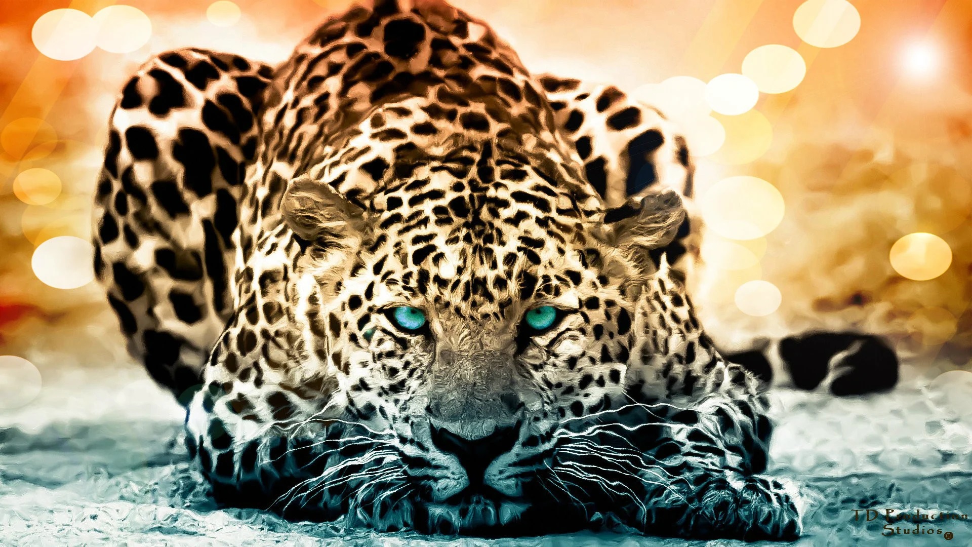 Jaguar Wallpaper 1