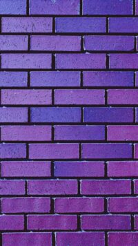 Purple Wallpaper 2