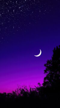 Dark Purple Wallpaper 6