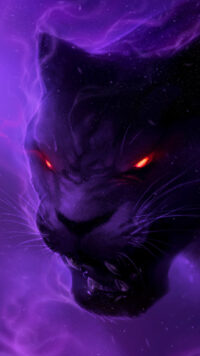 Dark Purple Wallpaper 5