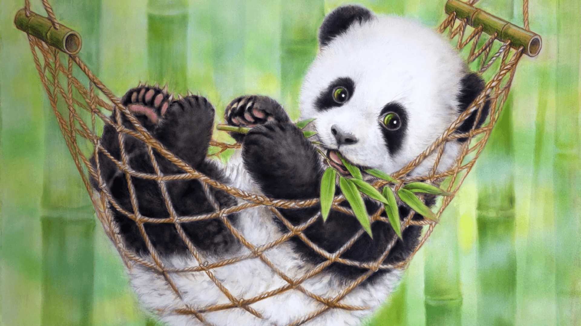 Panda Wallpaper 1