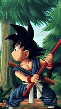 Goku Wallpaper 9