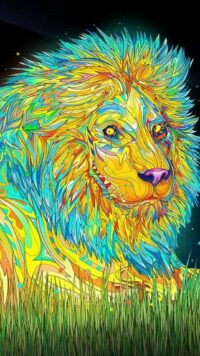 Lion Wallpaper 6