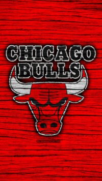 Chicago Bulls Wallpaper 8