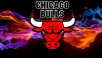 Chicago Bulls Wallpaper 10