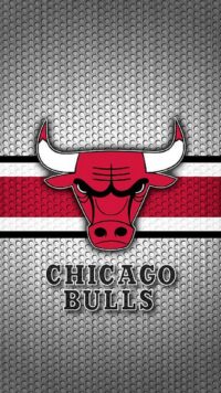 Chicago Bulls Wallpaper 4