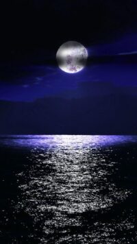 Dark Purple Wallpaper 1