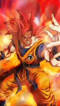 Dragon Ball Z Wallpaper 6