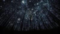 Night Sky Wallpaper 9
