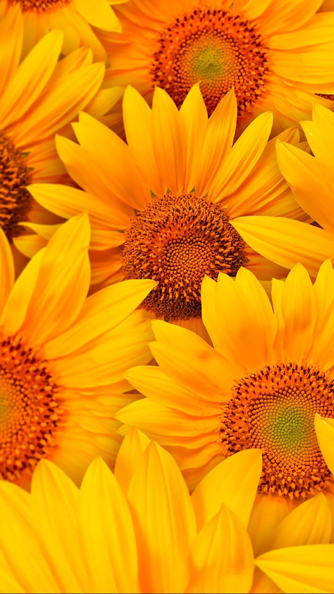 The Yellow Wallpaper 1 The Yellow Wallpaper 1