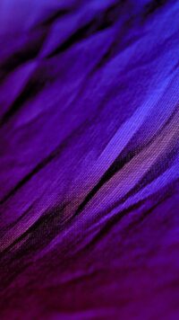 Dark Purple Wallpaper 5