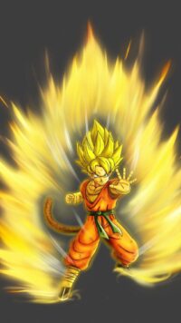 Dragon Ball Z Wallpaper 6