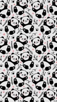 Panda Wallpaper 4