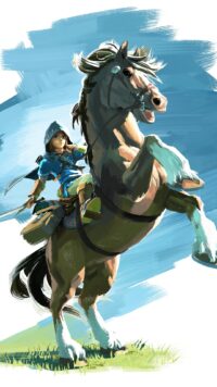 Zelda Tears Of The Kingdom Wallpaper 9