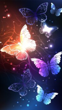 Butterfly Wallpaper 5