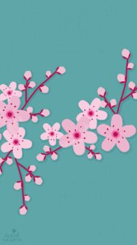 Cherry Blossom Wallpaper 7
