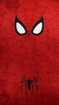 Spiderman Wallpaper 5