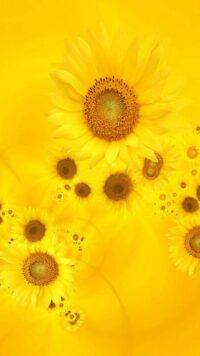 The Yellow Wallpaper 7