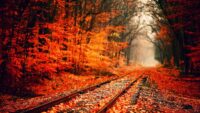 Autumn Wallpaper 9