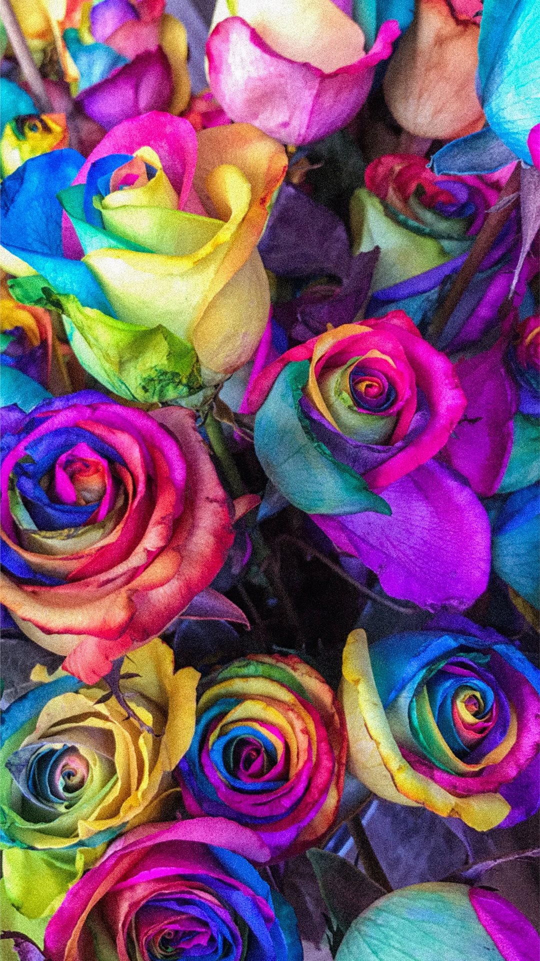 Colorful Wallpaper - KoLPaPer - Awesome Free HD Wallpapers