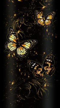Butterfly Wallpaper 3