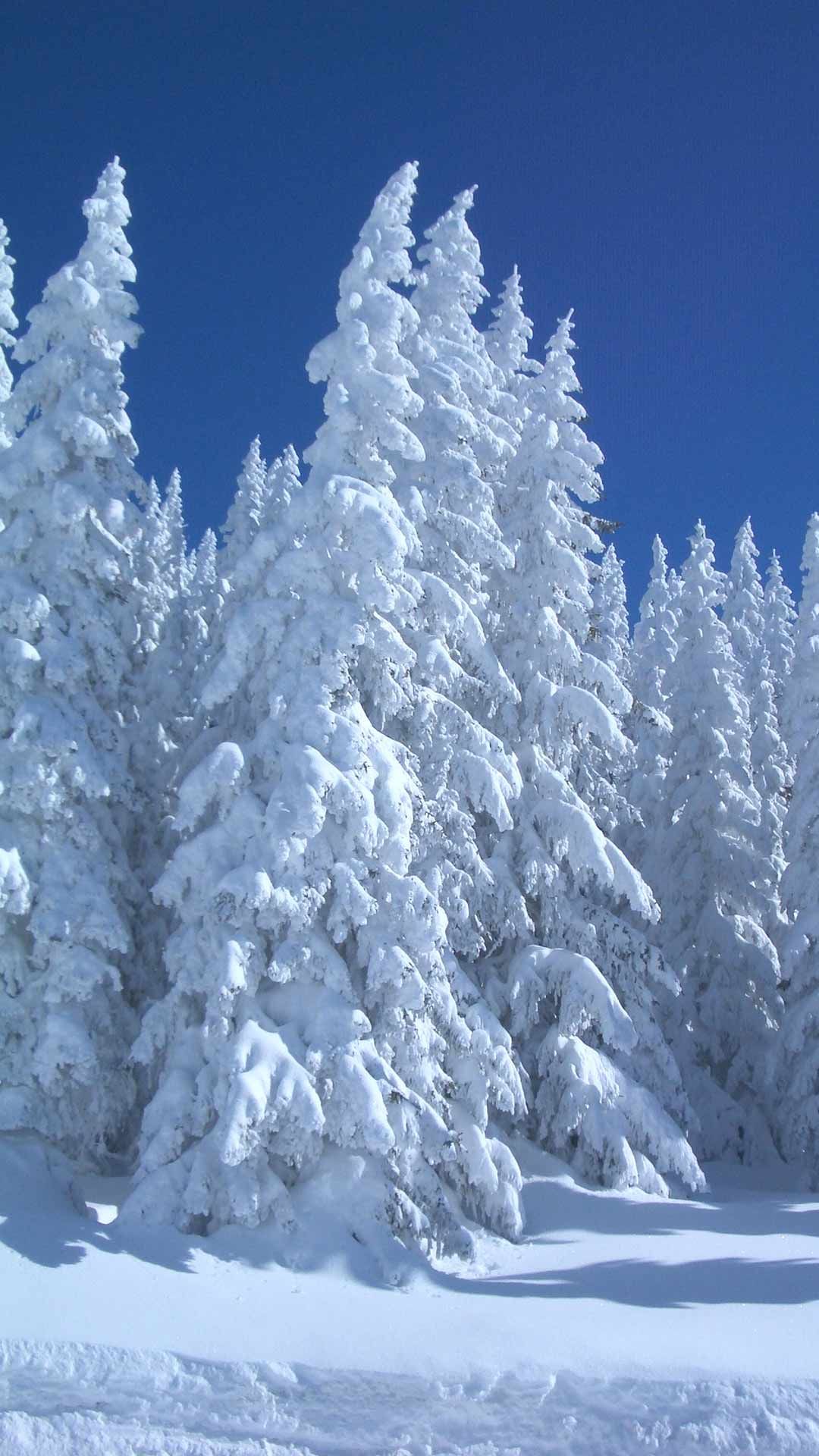 Winter Wallpaper 1
