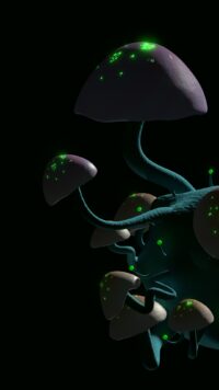 Mushroom Wallpaper 9