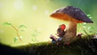 Mushroom Wallpaper 5