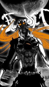 Bleach Wallpaper 8