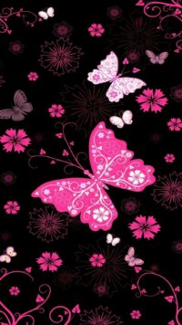 Butterfly Wallpaper 6