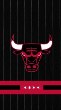 Chicago Bulls Wallpaper 7