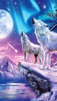 Wolf Wallpaper 10